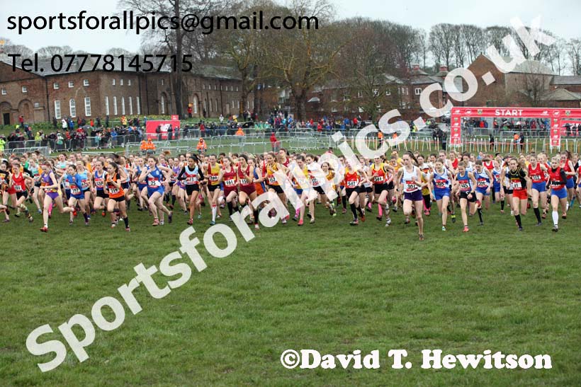 Junior girls 2019 New Balance English Schools Cross Country Champs, Temple Newsam, Leeds. Photo:  David T. Hewitson/Sports for All Pics